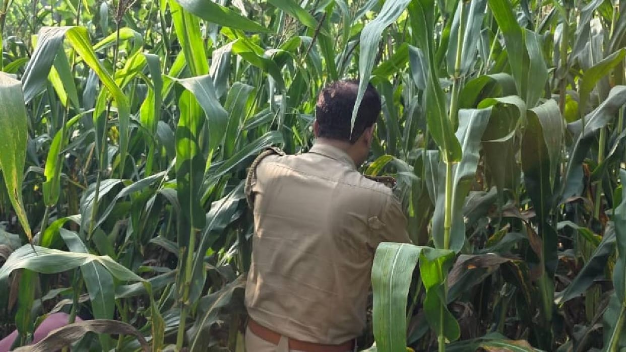 UP: Naked Body of 3rd-Grade Student Found; Cloth Stuffed in Her Mouth; She Had Left Home to Get Mangoes