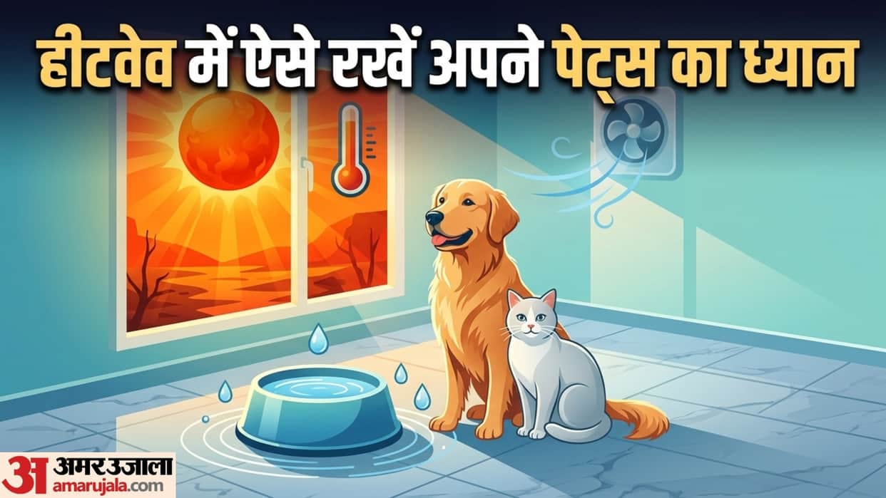 simple tips to keep your pet safe during extreme heatwave