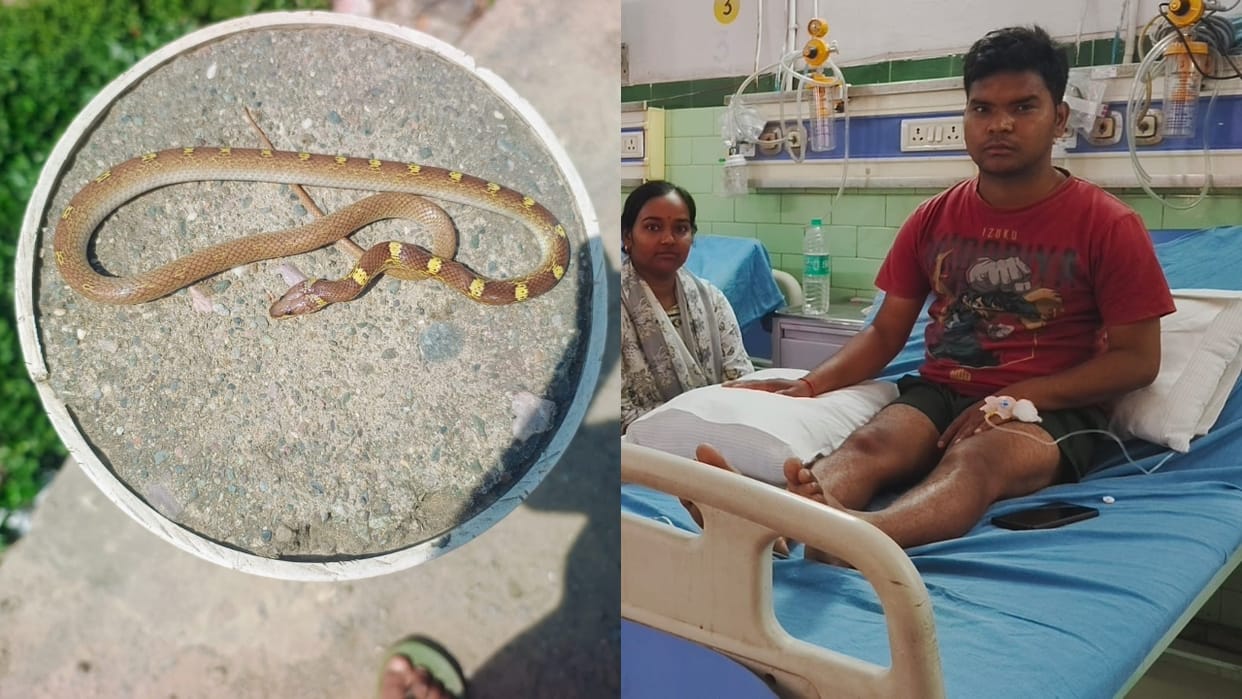 snake came out of a bag while removing clothes biting a young man in Bareilly