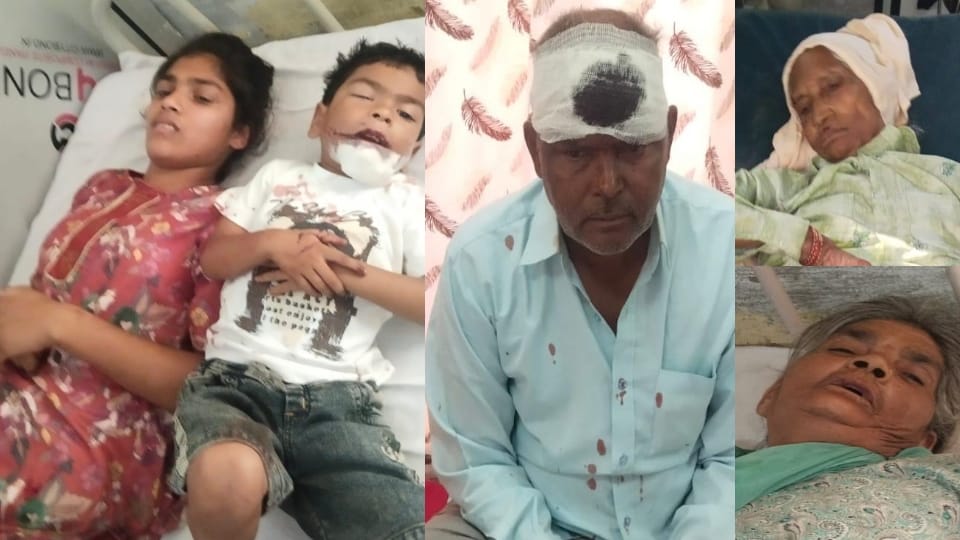 Saharanpur: Truck hits a pickup full of devotees from the front, woman dies, 10 people injured