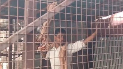Bulldozers Raze Illegal Chambers in Lucknow Lawyers Raise Slogans Against Police and Administration