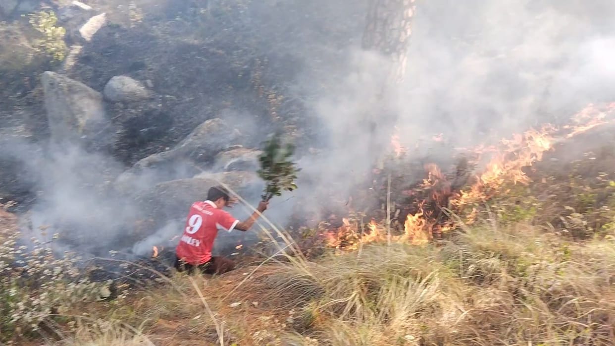 Kotdwar: Fire breaks out in Cantonment Board forest; forest personnel and Army soldiers bring it under control