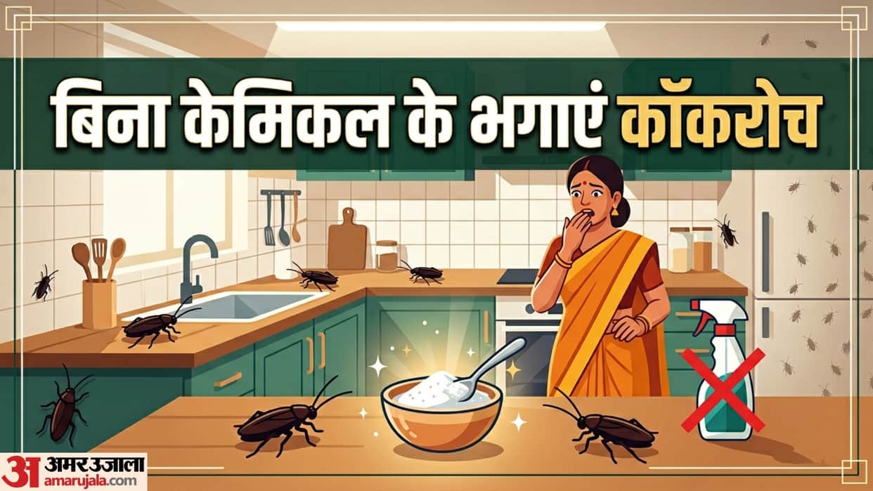 how to get rid of cockroaches in kitchen permanently cockroach kaise bhagaye gharelu upay