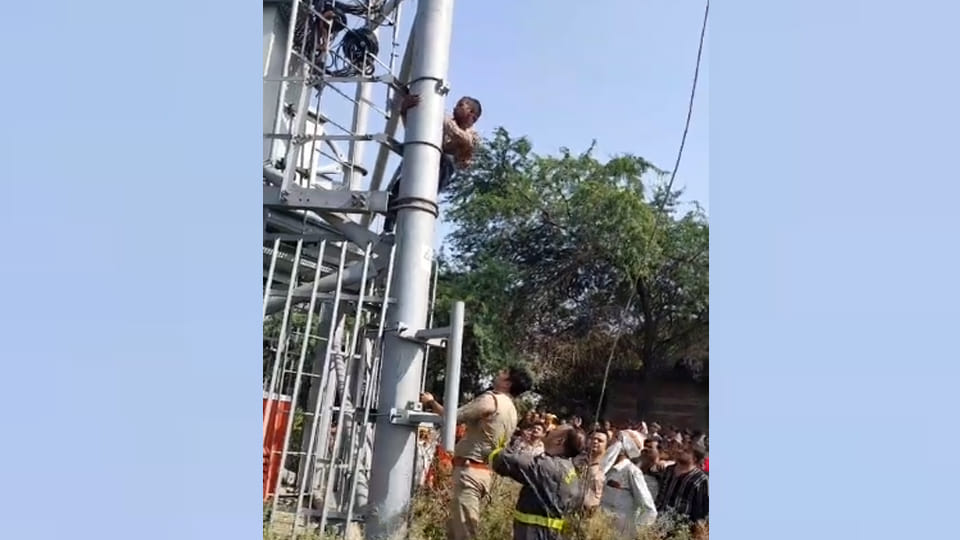 Auraiya: Distressed by Water Scarcity, Youth Climbs Mobile Tower