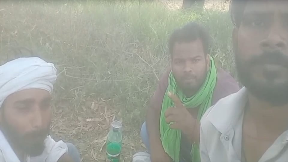 Haryana: तीन युवकों ने पिया कीटनाशक, सोशल मीडिया पर बनाया वीडियो, पुलिस ने  पहुंचाया अस्पताल