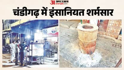 Chandigarh Youth Throws Two Month Old Puppy into Blazing Tandoor