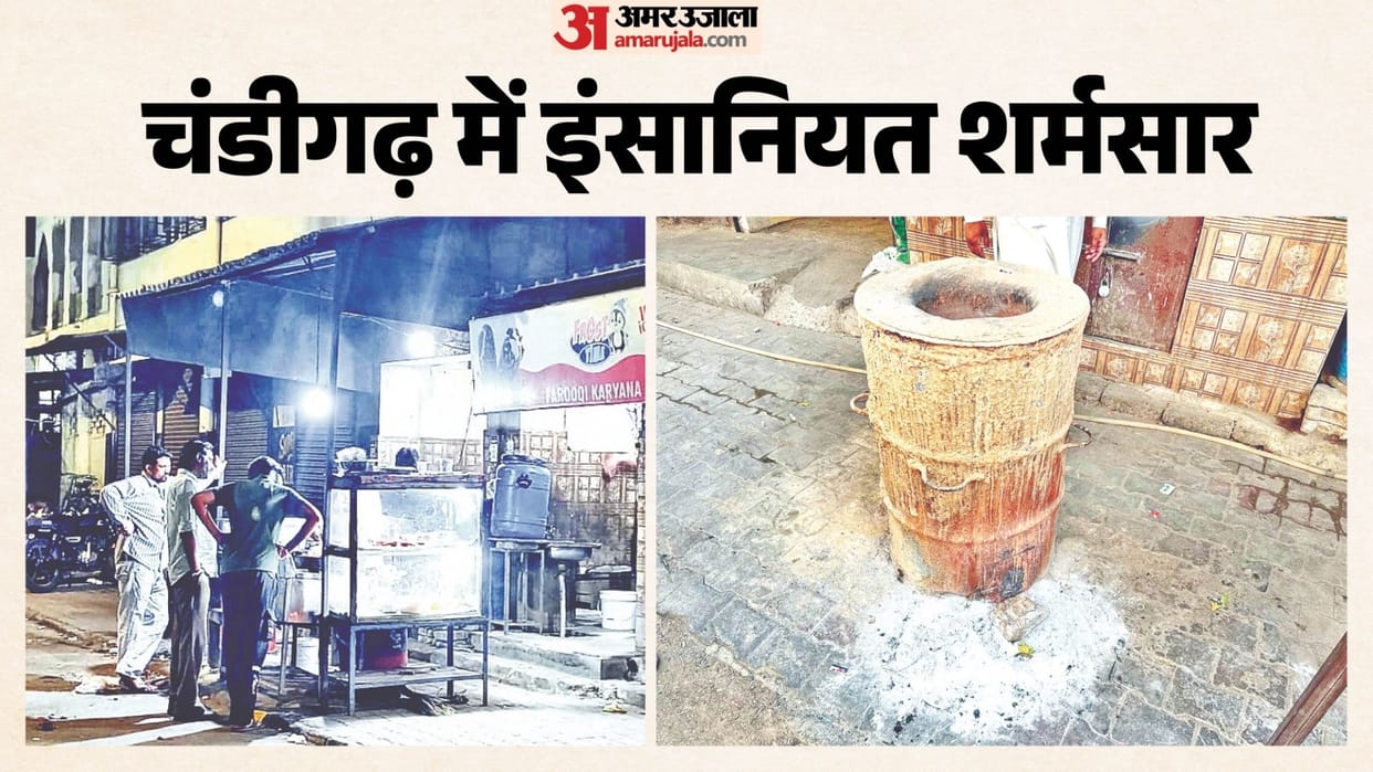Chandigarh Youth Throws Two Month Old Puppy into Blazing Tandoor