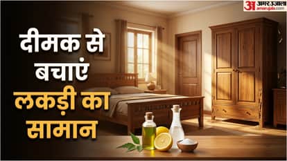 How To Remove Termites Naturally From Wood Furniture Dimak Bhagane ke gharelu Upay