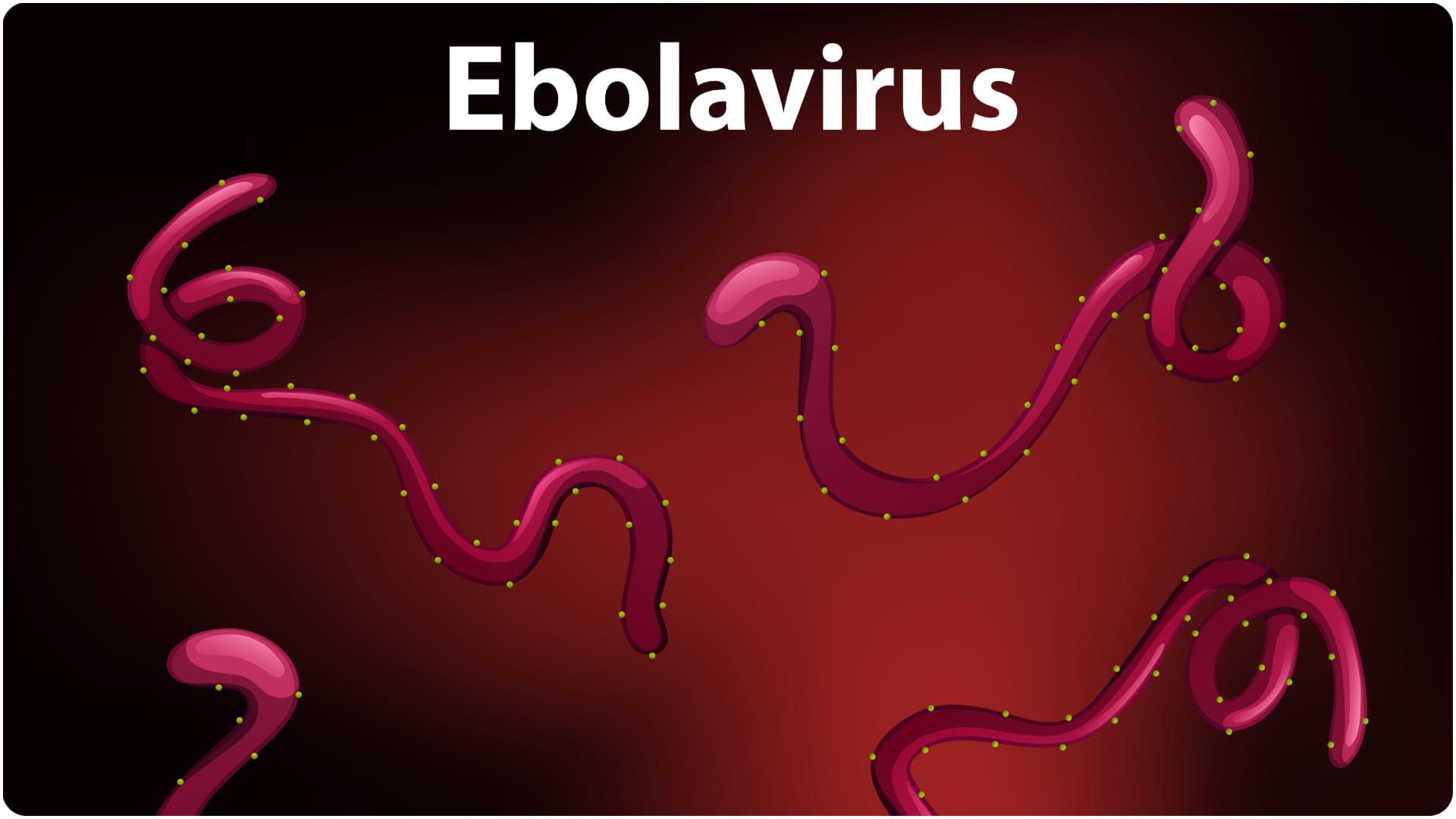 World Health Organization declared an Ebola outbreak ad public health emergency know details in hindi