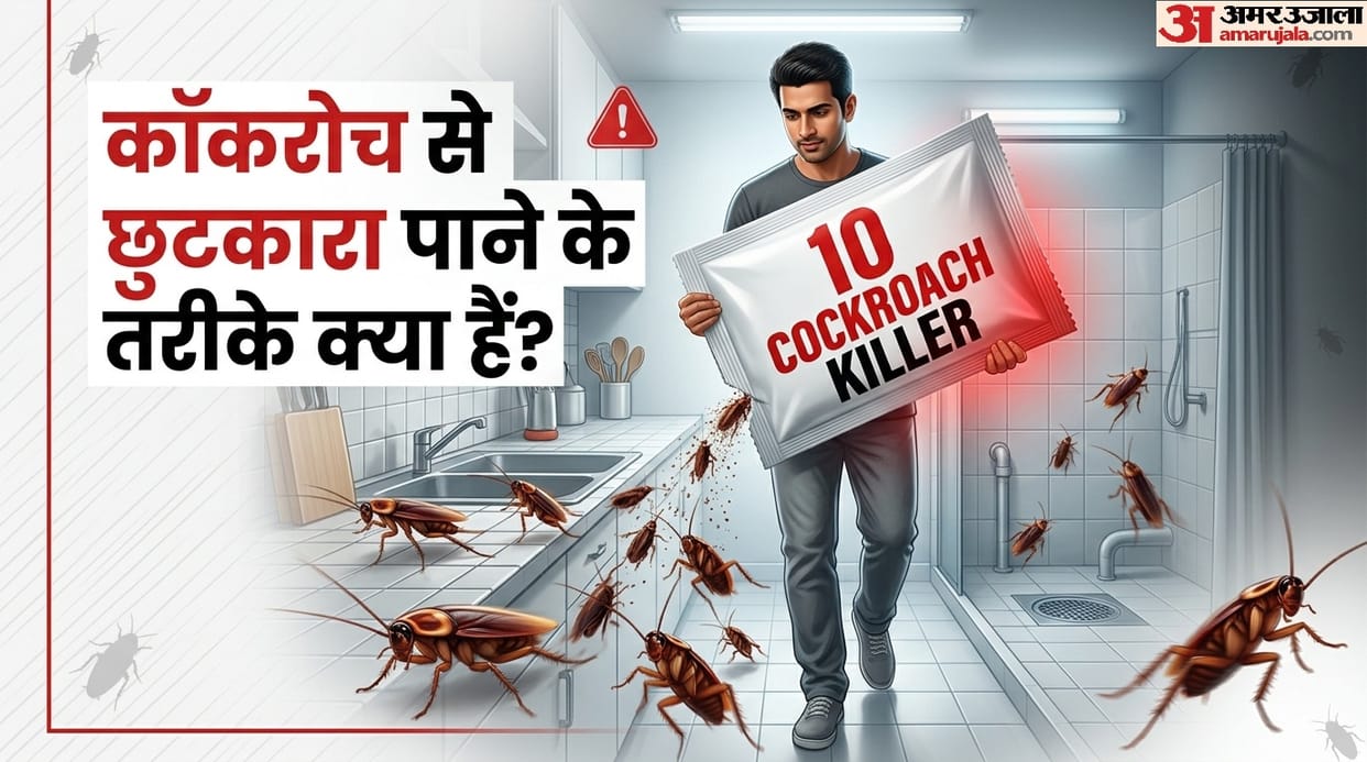 How to get rid of cockroaches from your house cockroach Ko kaise bhagayein