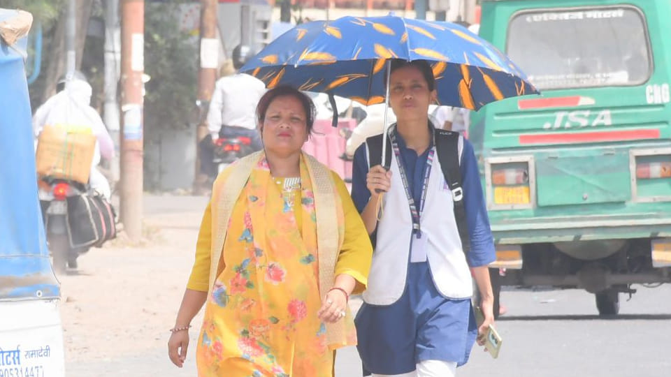 Weather Update: Mercury Hits 44.6 Degrees in Kanpur; Meteorological Department Issues Alert