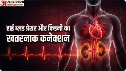 किडनी की समस्या