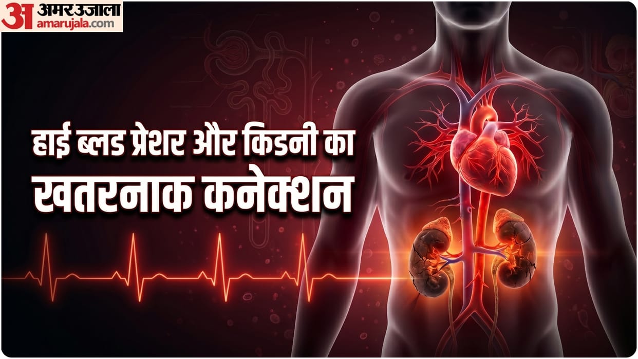 high blood pressure can both cause and be a sign of kidney problems know how in hindi.