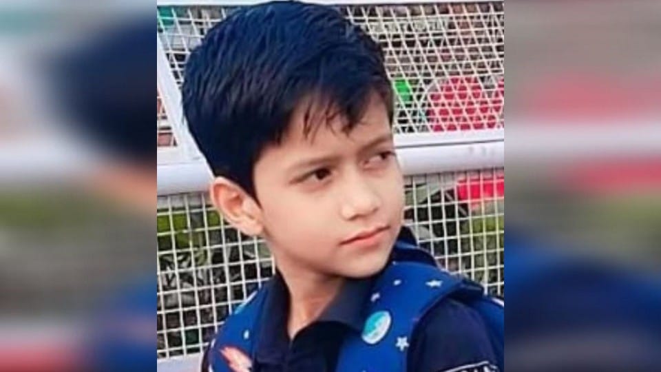 8-Year-Old Boy Drowns in Agra Water Park While Visiting With Family