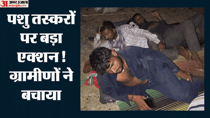 Cattle Smuggling Foiled in Korba Police Seize 28 Cattle Arrest Five Accused