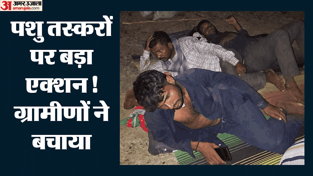 Cattle Smuggling Foiled in Korba Police Seize 28 Cattle Arrest Five Accused