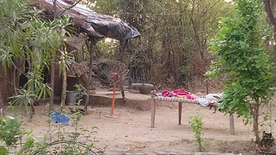 Son Beats Father to Death with Iron Rod After Being Stopped from Drinking