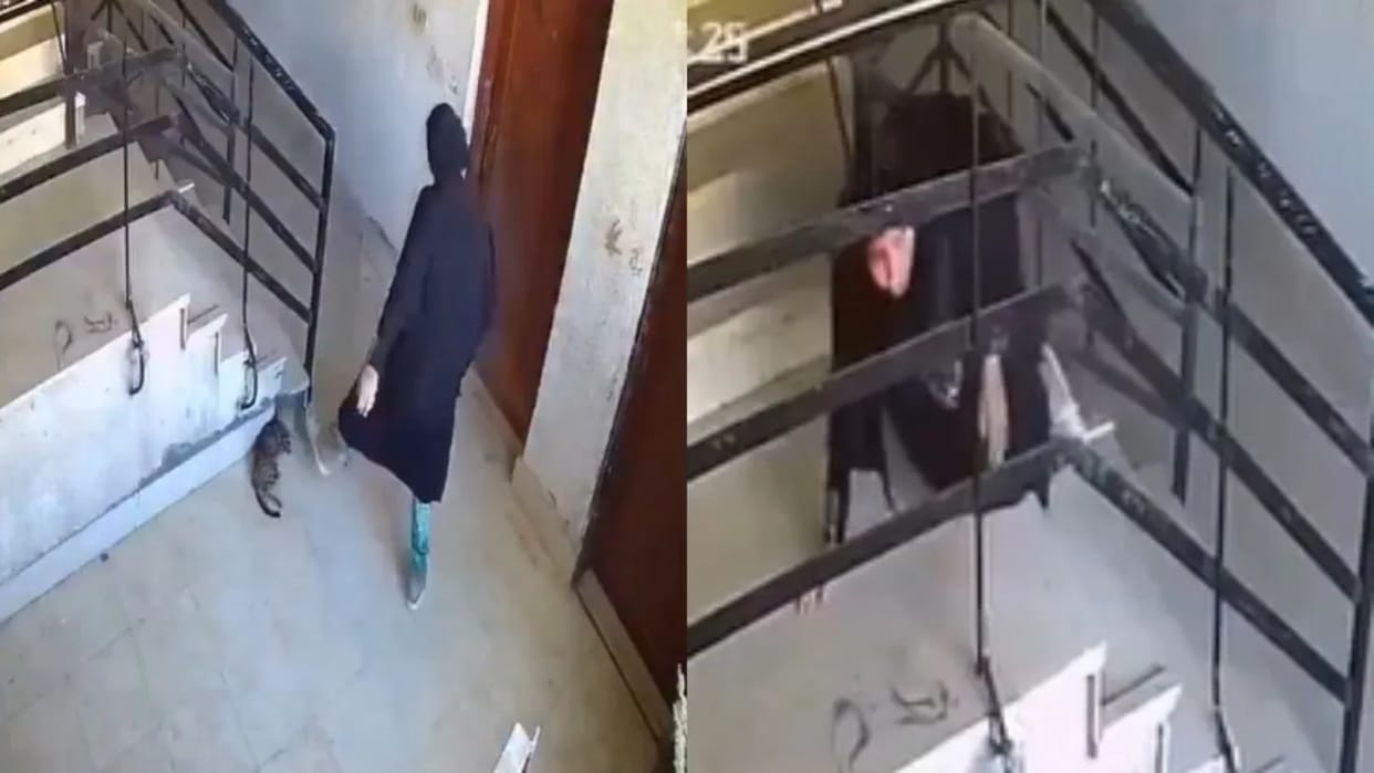 Instant Karma Video Woman falls down stairs immediately after kicking a cat viral video