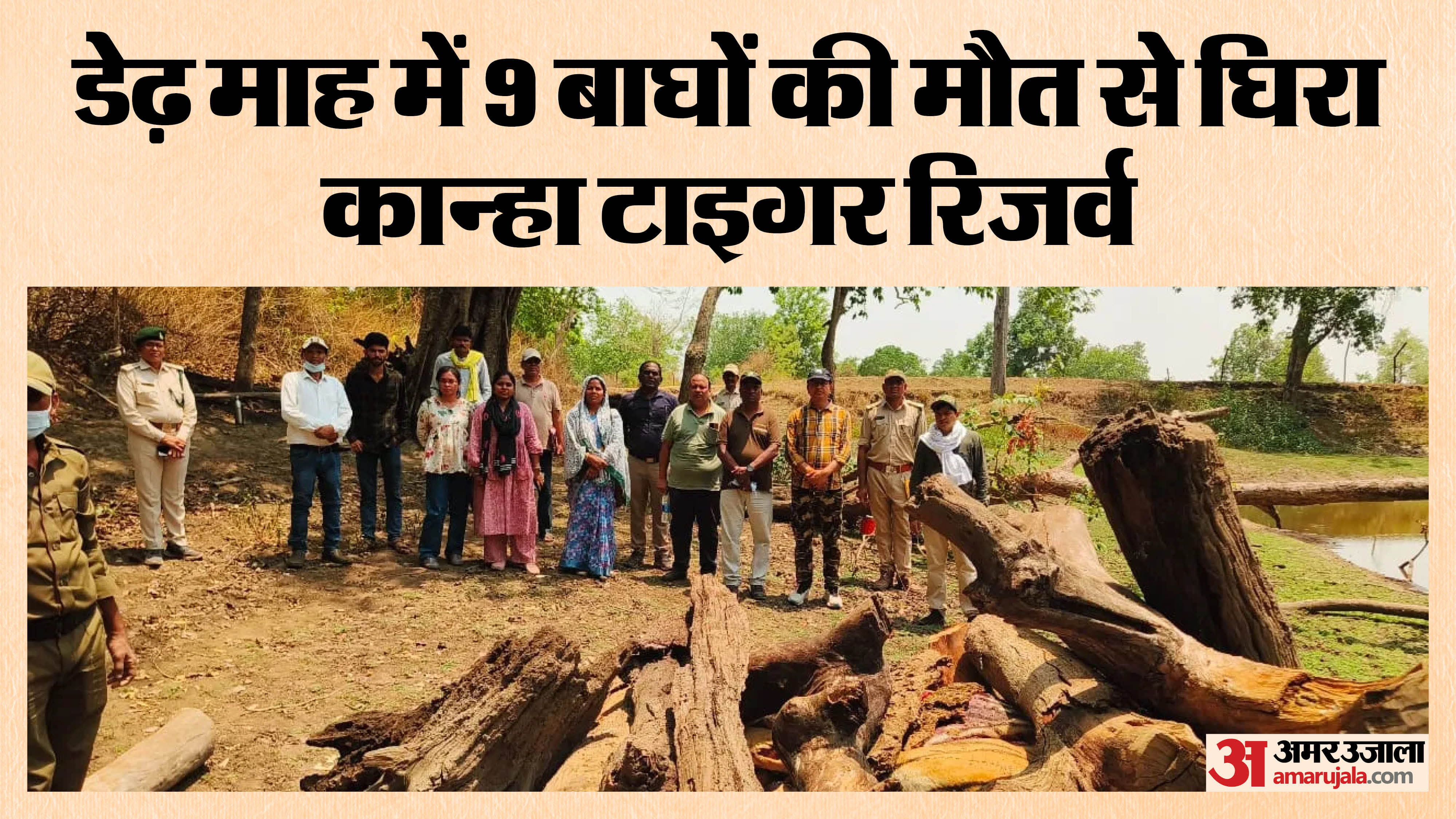फिर बाघ की मौत