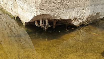 buddha circuit bridge crisis bodhgaya dhungeshwari pillars damaged today bihar news