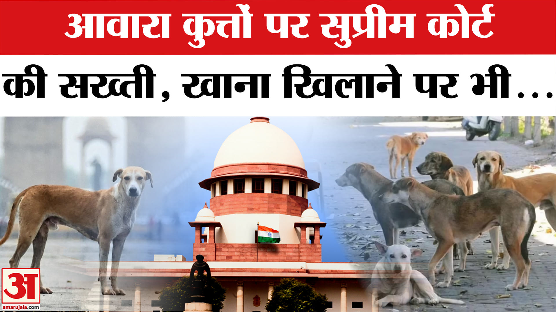 खतरनाक कुत्तों पर सुप्रीम कोर्ट की सख्ती, खाना खिलाने वाले भी हो जाएं सावधान!