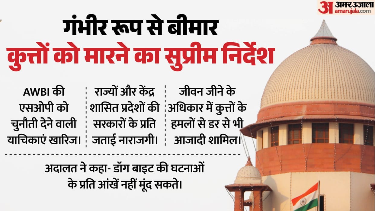 supreme court refuse to recall order shifting all stray dogs to shelters