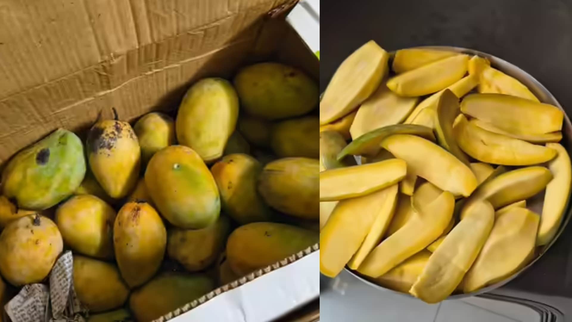 chemical vs Natural Mangoes Easy Ways to Identify Carbide Ripened Mangoes and Protect Your Health