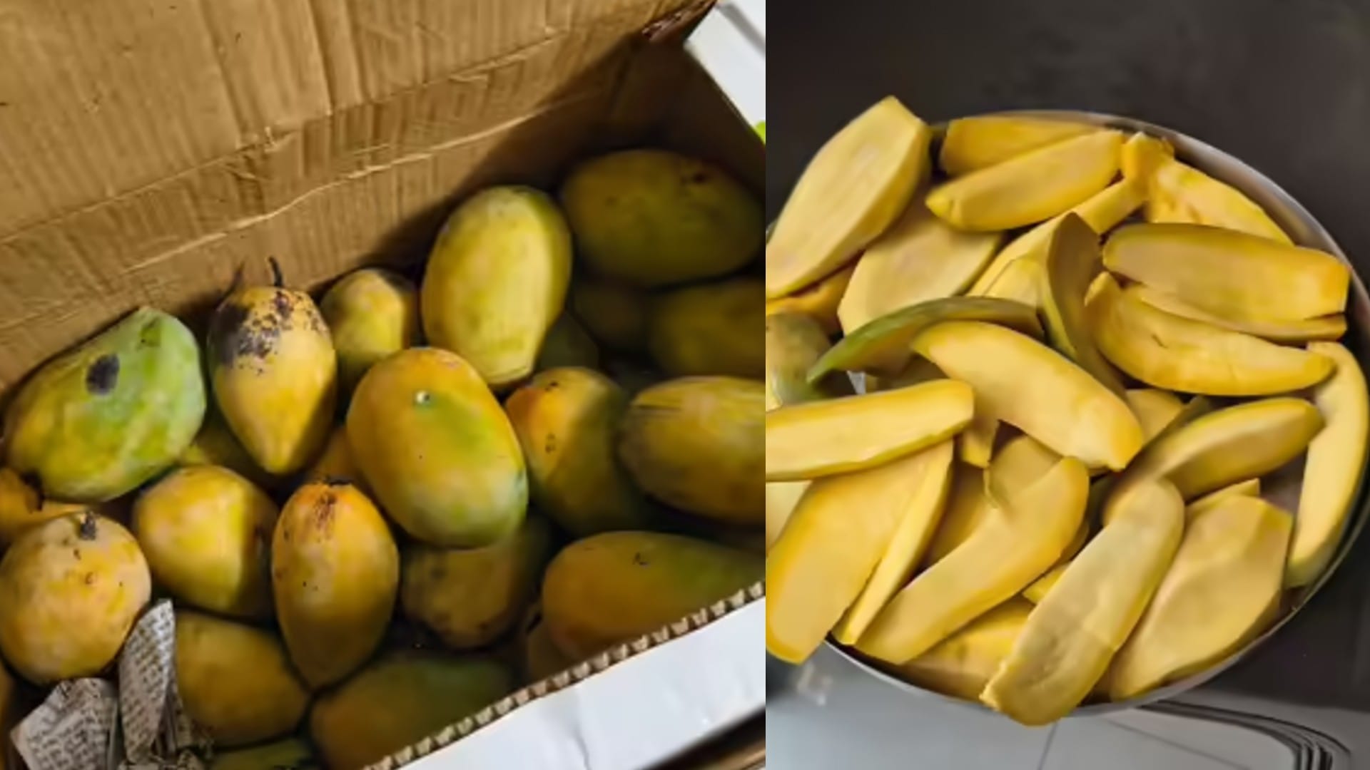 chemical vs Natural Mangoes Easy Ways to Identify Carbide Ripened Mangoes and Protect Your Health