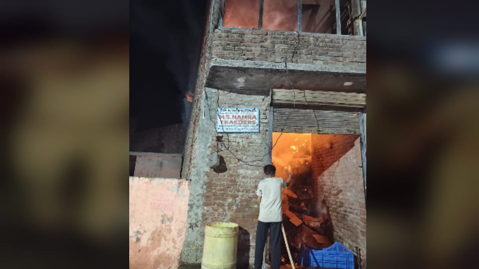 Massive Fire in Cardboard Warehouse in Gangoh, Three Animals Dead, Loss Worth Lakhs