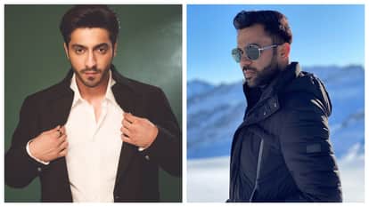 Ahaan Panday To Make Dance Debut In Ali Abbas Zafar Upcoming Film as per report