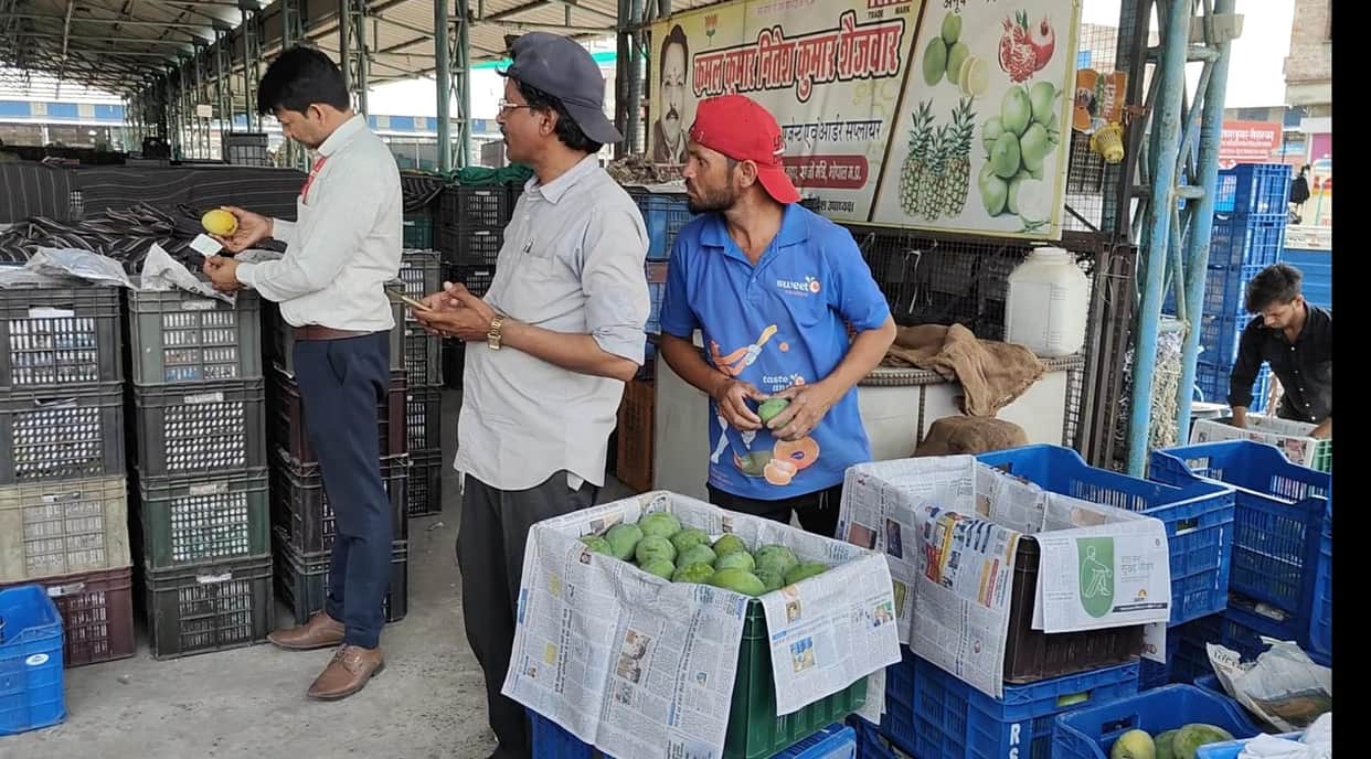 Bhopal News: Fruits being artificially ripened in Bhopal; inspection of mangoes and watermelons sparks panic a