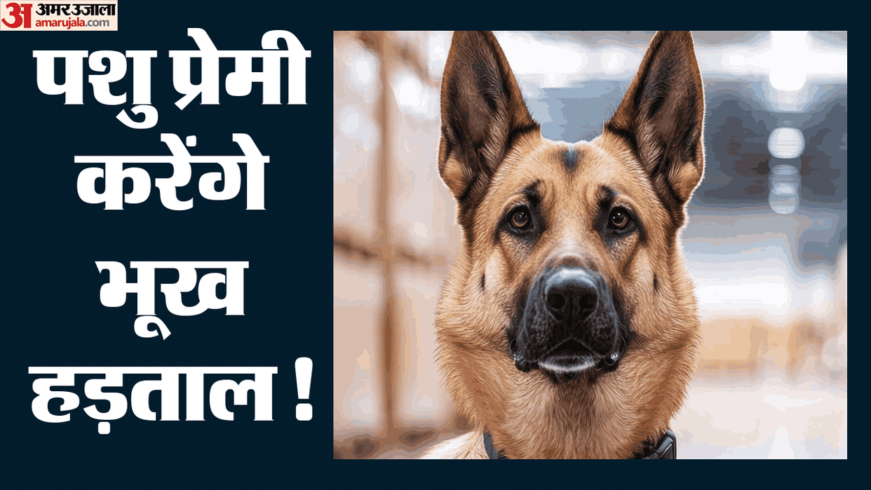 Animal rights activists prepare to stage a hunger strike at Ramlila Maidan over issue of stray dogs
