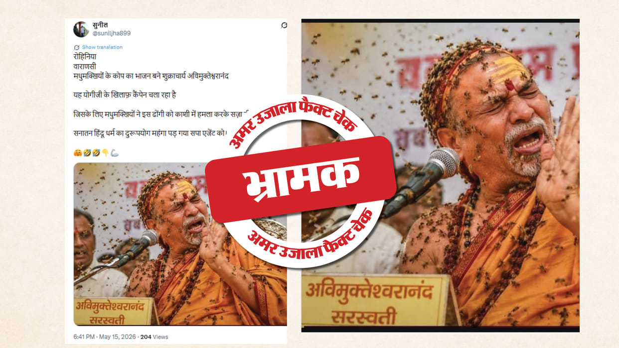 Fact Check: Image of bee attack on Shankaracharya Swami Avimukteshwarananda created using AI