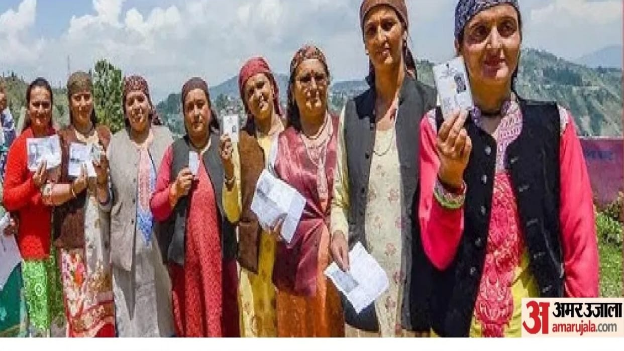 HP ULB Elections: 195 Out of 449 Urban Body Posts Reserved for Women