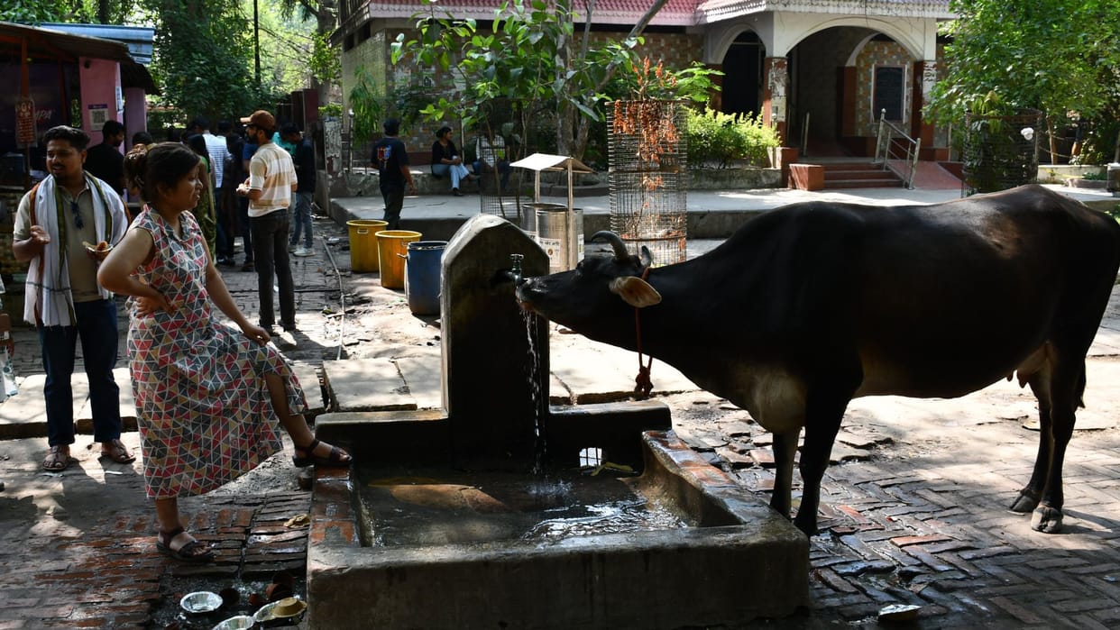 Varanasi Weather Mercury in Varanasi could reach 47°C humidity rises relief expected after one month