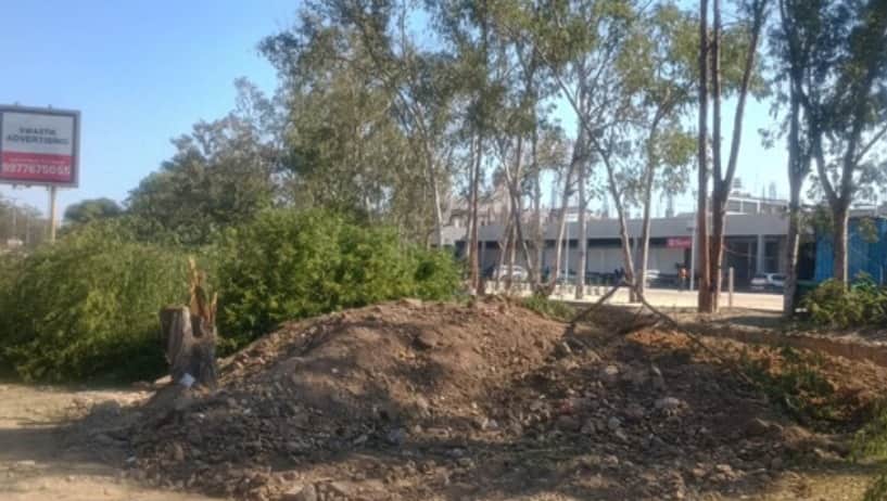 Ayodhya Bypass Project to Proceed with NGT Approval: Environmental Conditions Mandatory; Ban on Tree Felling R