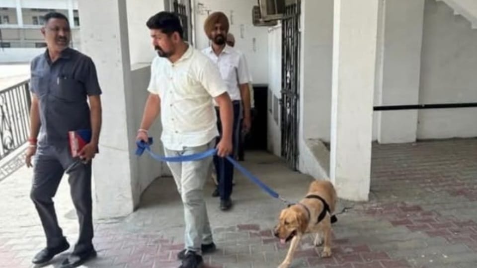 Threat to Bathinda Schools Police Launch Search Operation