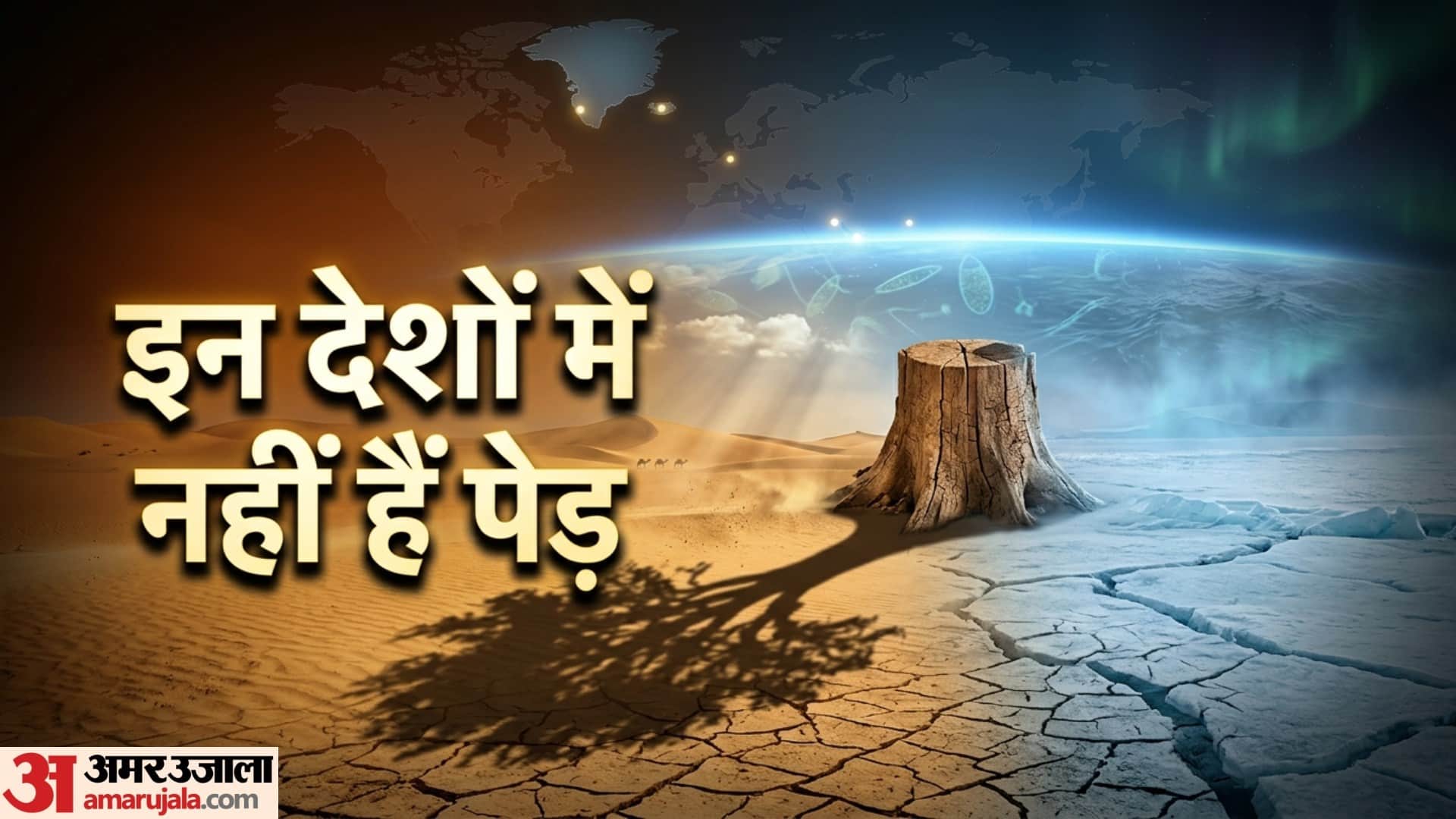 Country without trees in the world which country has no trees in the world answer