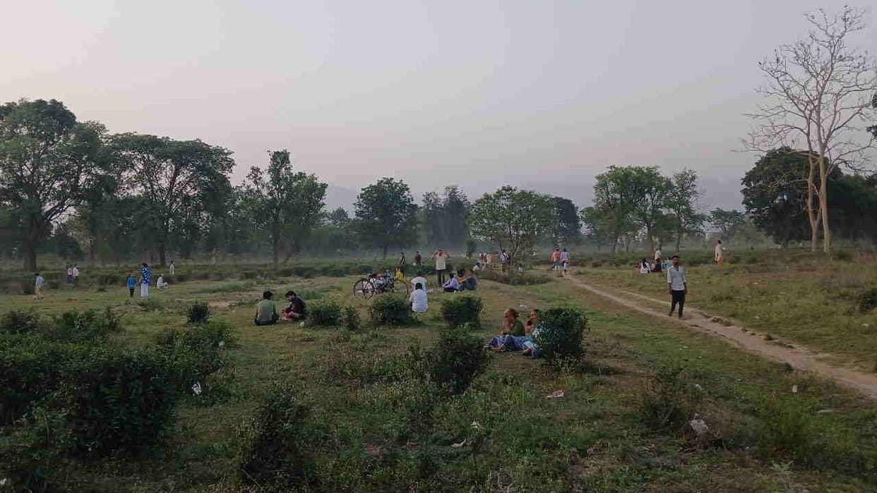 Dehradun Tea Gardens Golden History Challenged Chinese Tea Brokers in London Declared It the Finest