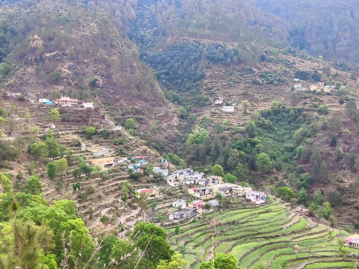 Tehri News Grand Village Festival to be Held in Mandra a Village Once Ravaged by Migration Vibrancy Returns