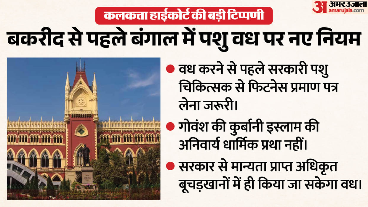 calcutta high court dismisses challenge west bengal cattle slaughter notification