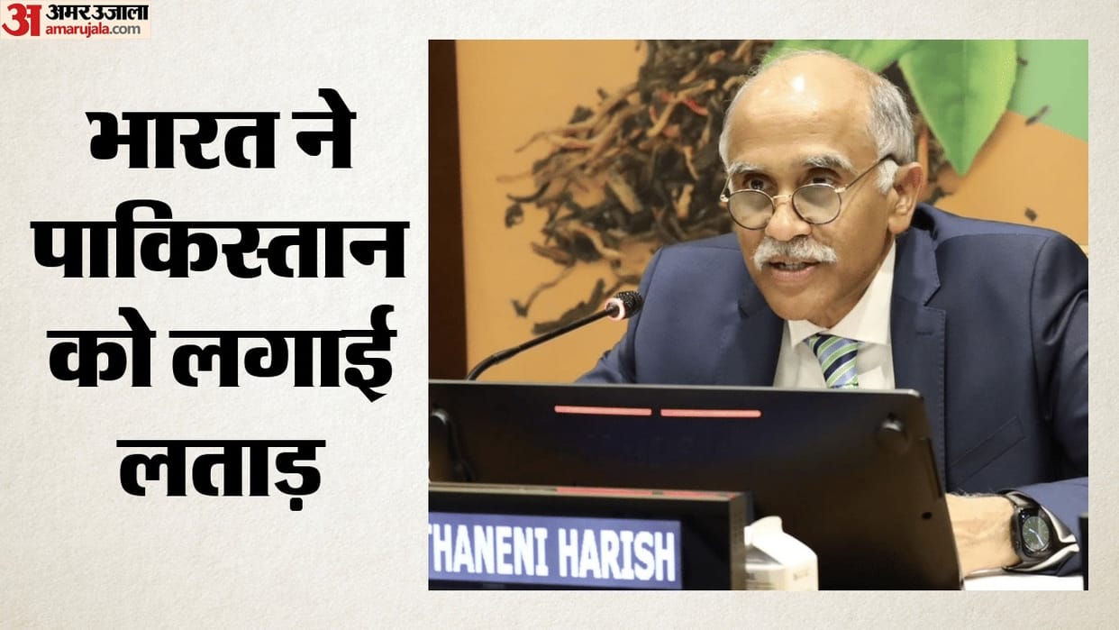 Pakistan again rakes Kashmir issue at UNSC India says this platform is not for spreading lies