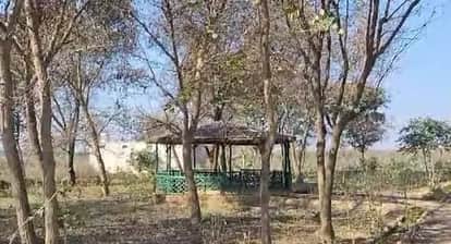 Etawah Timber Mafia Attacks Forest Personnel Threatens to Kill at Gunpoint Case Registered Against 10