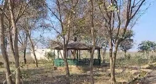 Etawah Timber Mafia Attacks Forest Personnel Threatens to Kill at Gunpoint Case Registered Against 10