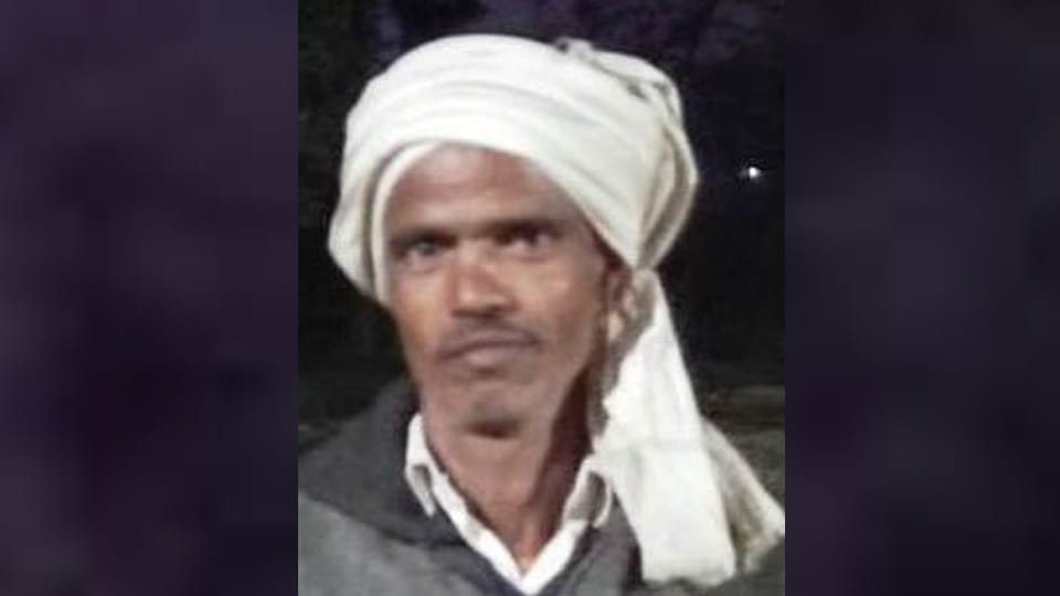 Auraiya: Farmer killed after being struck by speeding Thar