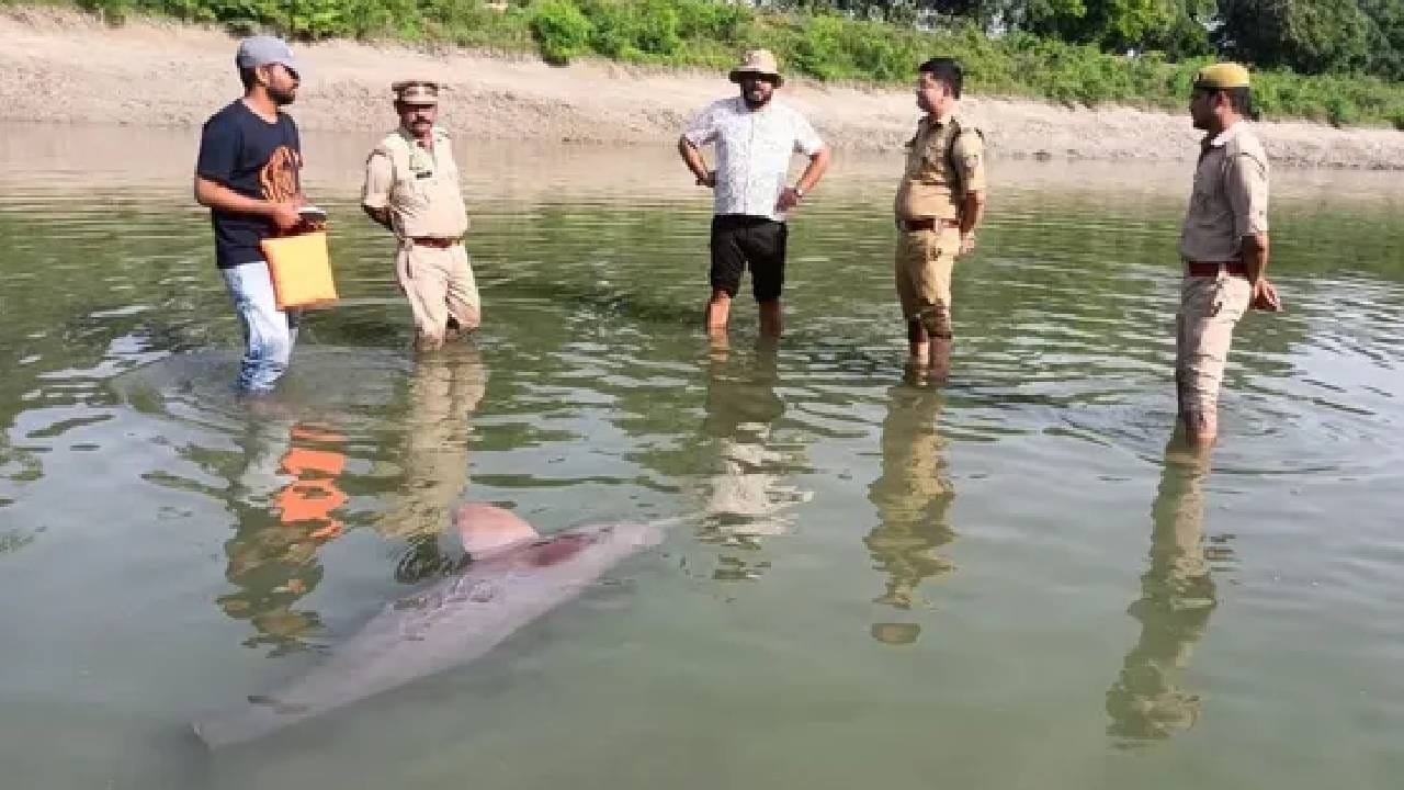 नहर के पास पहुंची वन विभाग की टीम।