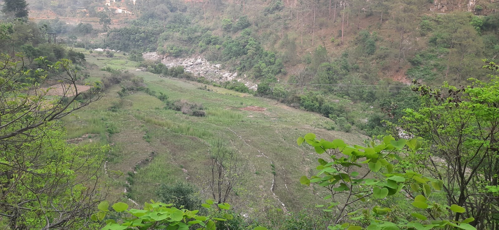  रौंसाल गांव में भूमि
