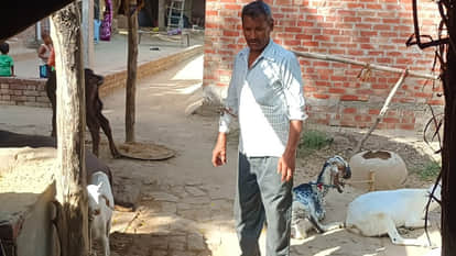 Etawah: Leopard Attacks Farmer Who Went to Save Goat; Victim Fought Alone in the Dark for 10 Minutes