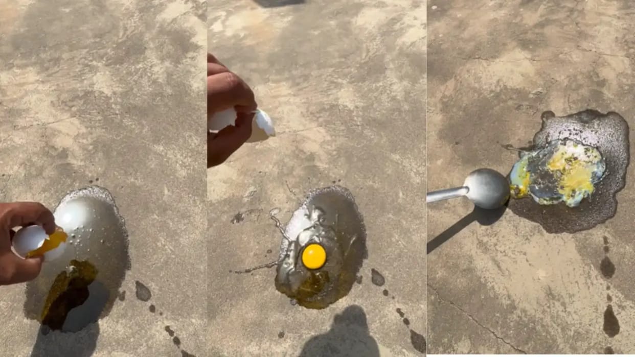 Heatwave In India Man Cooked Egg On The Rooftop In The Heat Video Goes Viral