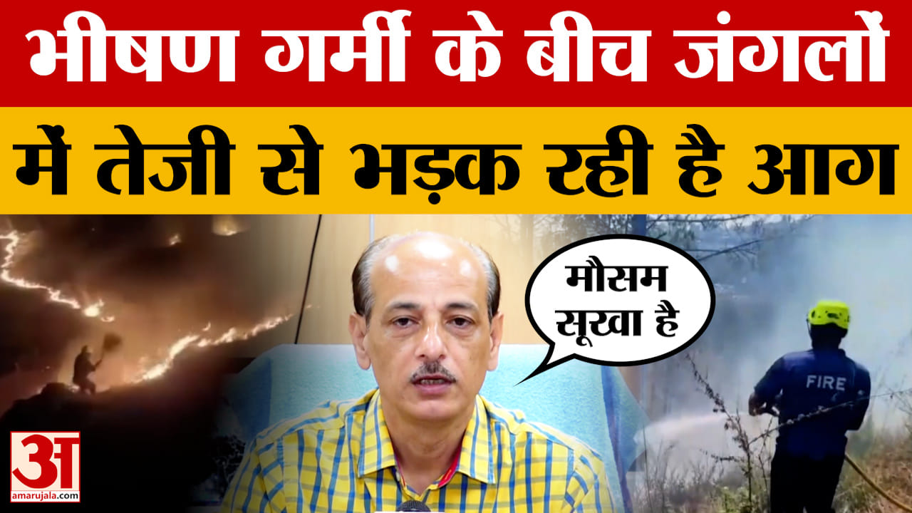 भीषण गर्मी के बीच जंगलों में तेजी से भड़क रही है आग, जल्द हो सकती है बारिश |Uttarakhand | Amar Ujala